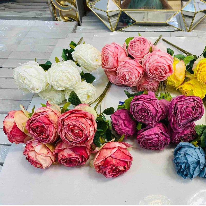 Pivoine